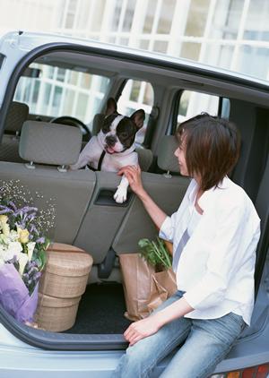 自動車のことならなんでもお任せです。