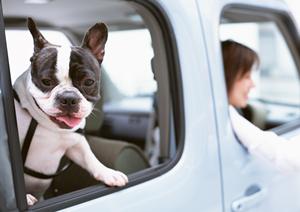 自動車の買取で大切なことを知りましょう